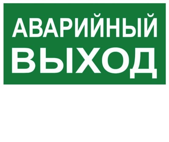 Знак "АВАРИЙНЫЙ ВЫХОД"  (150х300мм.) EKF PROxima /an-5-04